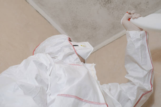 Best Crawl Space Mold Removal  in Kirbyville, TX